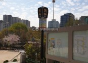 2019년 서울 아현초등학교